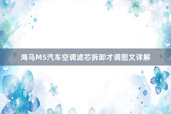 海马M5汽车空调滤芯拆卸才调图文详解